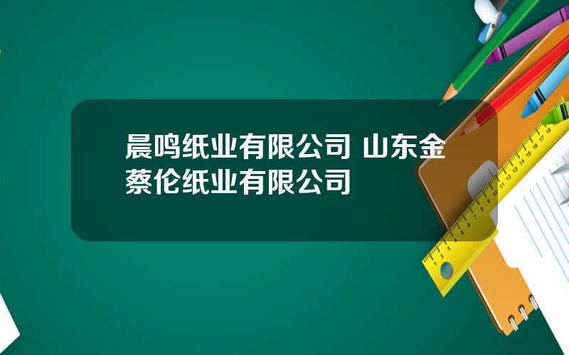 晨鸣纸业有限公司 山东金蔡伦纸业有限公司